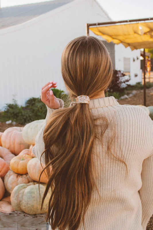 ponytail clip